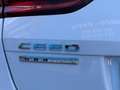 Kia Ceed / cee'd Tourer 1.6 MHEV iMT Eco-Dynamics Concept 136 Blanc - thumbnail 13