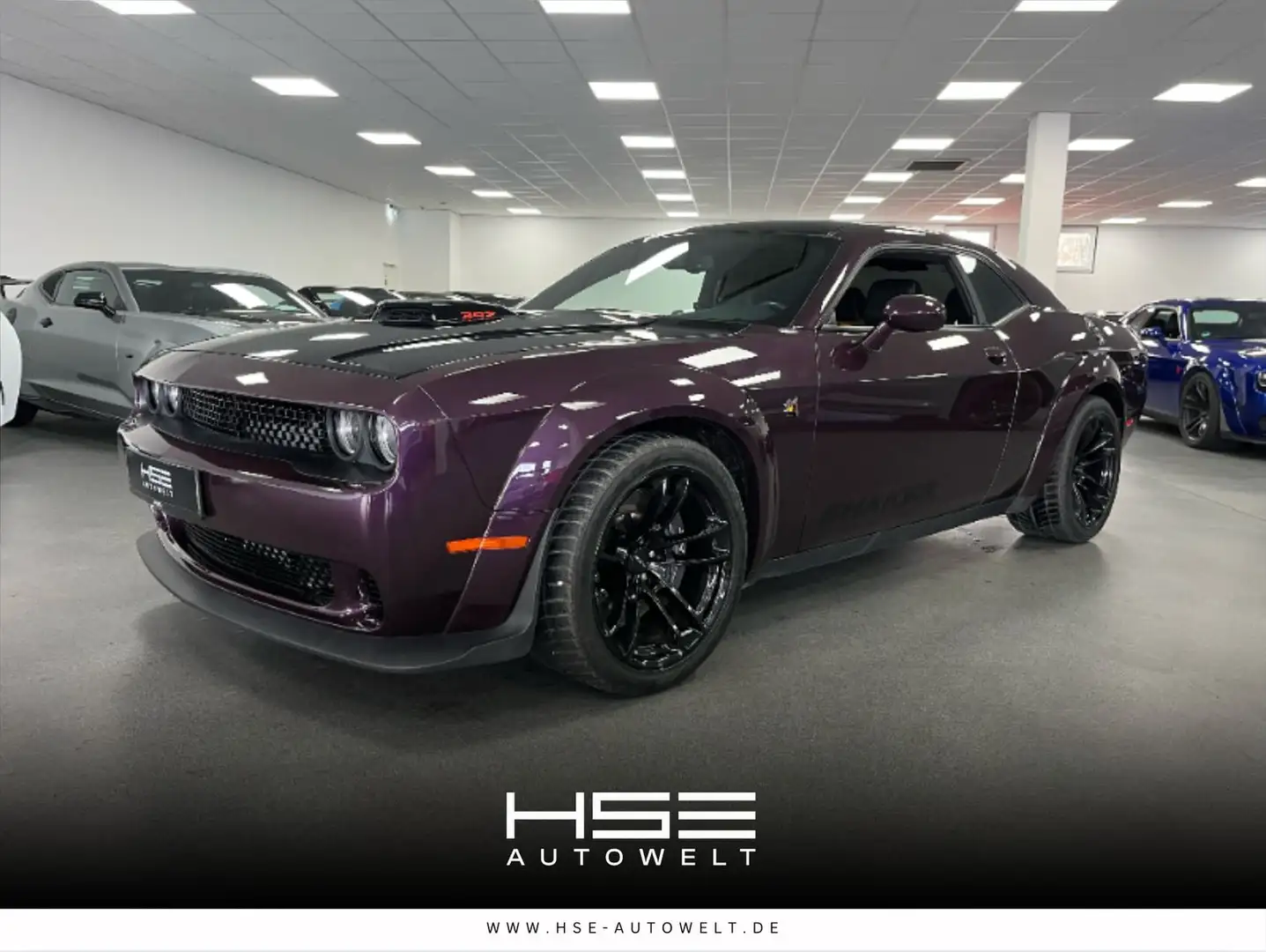Dodge Challenger 6,4l V8 Orig. Widebody/ Shaker/ Alcantara Mauve - 1