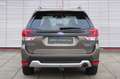 Subaru Forester 2.0i e-BOXER First Edition | Trekhaak | Dealeronde Grün - thumbnail 7