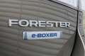 Subaru Forester 2.0i e-BOXER First Edition | Trekhaak | Dealeronde Grün - thumbnail 31