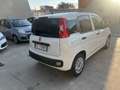 Fiat Panda 1.2 Easy easypower Gpl 69cv my19 - thumbnail 3