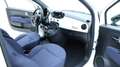Fiat 500 Cult Blanc - thumbnail 15