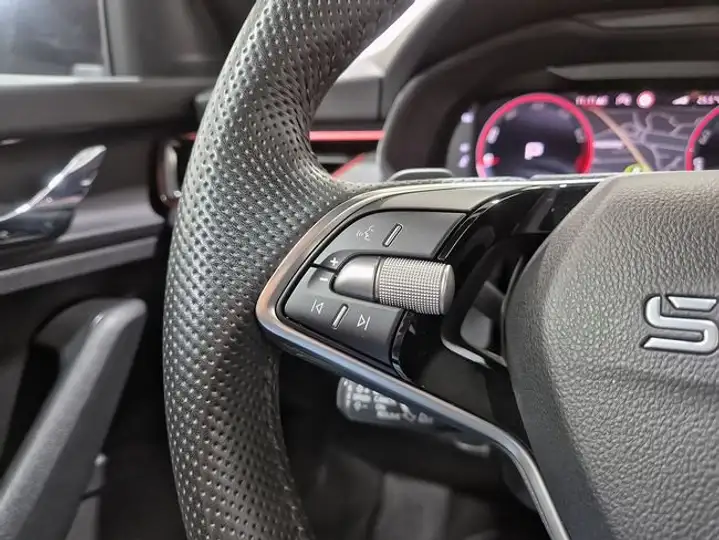 Škoda Kamiq 1.5 TSI DSG Monte Carlo 2025, foto 15