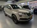 Skoda Karoq 1.5 TSI ACT Business Edition Grijs - thumbnail 6