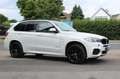 BMW X5 xDrive30d M SPORTPAKET+PANO+KAMERA+HEAD-UP Wit - thumbnail 3