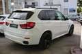 BMW X5 xDrive30d M SPORTPAKET+PANO+KAMERA+HEAD-UP Wit - thumbnail 11