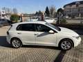 Volkswagen Golf 1.5 tsi evo Life 130cv Biały - thumbnail 5