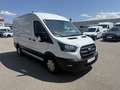 Ford Transit Kasten 2,0 EcoBlue L2H2 290 Trend Weiß - thumbnail 4