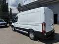 Ford Transit Kasten 2,0 EcoBlue L2H2 290 Trend Weiß - thumbnail 9