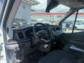 Ford Transit Kasten 2,0 EcoBlue L2H2 290 Trend Weiß - thumbnail 12