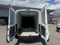 Ford Transit Kasten 2,0 EcoBlue L2H2 290 Trend Weiß - thumbnail 15