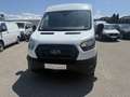 Ford Transit Kasten 2,0 EcoBlue L2H2 290 Trend Weiß - thumbnail 2