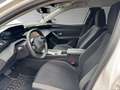 Peugeot 308 SW Active Pack Weiß - thumbnail 9