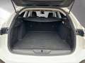 Peugeot 308 SW Active Pack Weiß - thumbnail 15