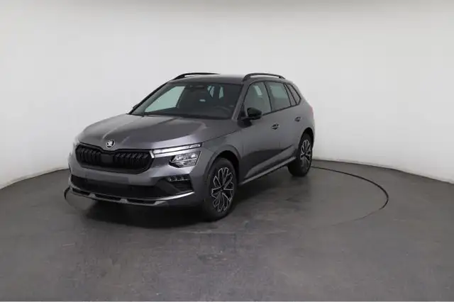 Skoda Kamiq view 3