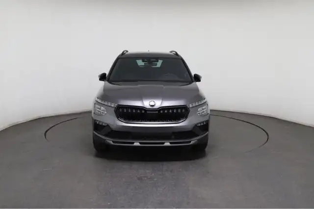 Skoda Kamiq view 2