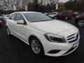 Mercedes-Benz A 180 BlueEfficiency 7G-DCT - Autom. Navi Klima Blanc - thumbnail 31