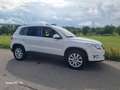 Volkswagen Tiguan 2.0 TDI DPF 4Motion Automatik Team Blanco - thumbnail 9