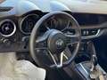 Alfa Romeo Stelvio Stelvio 2.2 t Business rwd 160cv auto my19 Blau - thumbnail 9