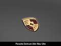 Porsche 991 911 Carrera 20-Zoll nur 60.990 km 2-Hand Gris - thumbnail 12