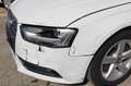 Audi A4 S Line Plus NaviMMI/Xenon/Alcantara/SHZ Blanc - thumbnail 19