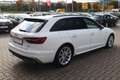 Audi A4 Avant 40 TDI quattro S line LED Navi Tempomat Bianco - thumbnail 5