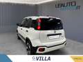 Fiat Panda 1.0 firefly hybrid s&s 70cv 5p.ti Bianco - thumbnail 5