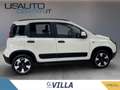 Fiat Panda 1.0 firefly hybrid s&s 70cv 5p.ti Bianco - thumbnail 3