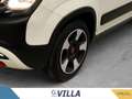 Fiat Panda 1.0 firefly hybrid s&s 70cv 5p.ti Bianco - thumbnail 7