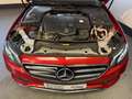 Mercedes-Benz E 220 D T*AUT*T.LEDER*NAVI WIDE*BT*PANO*360°*LED Rot - thumbnail 21