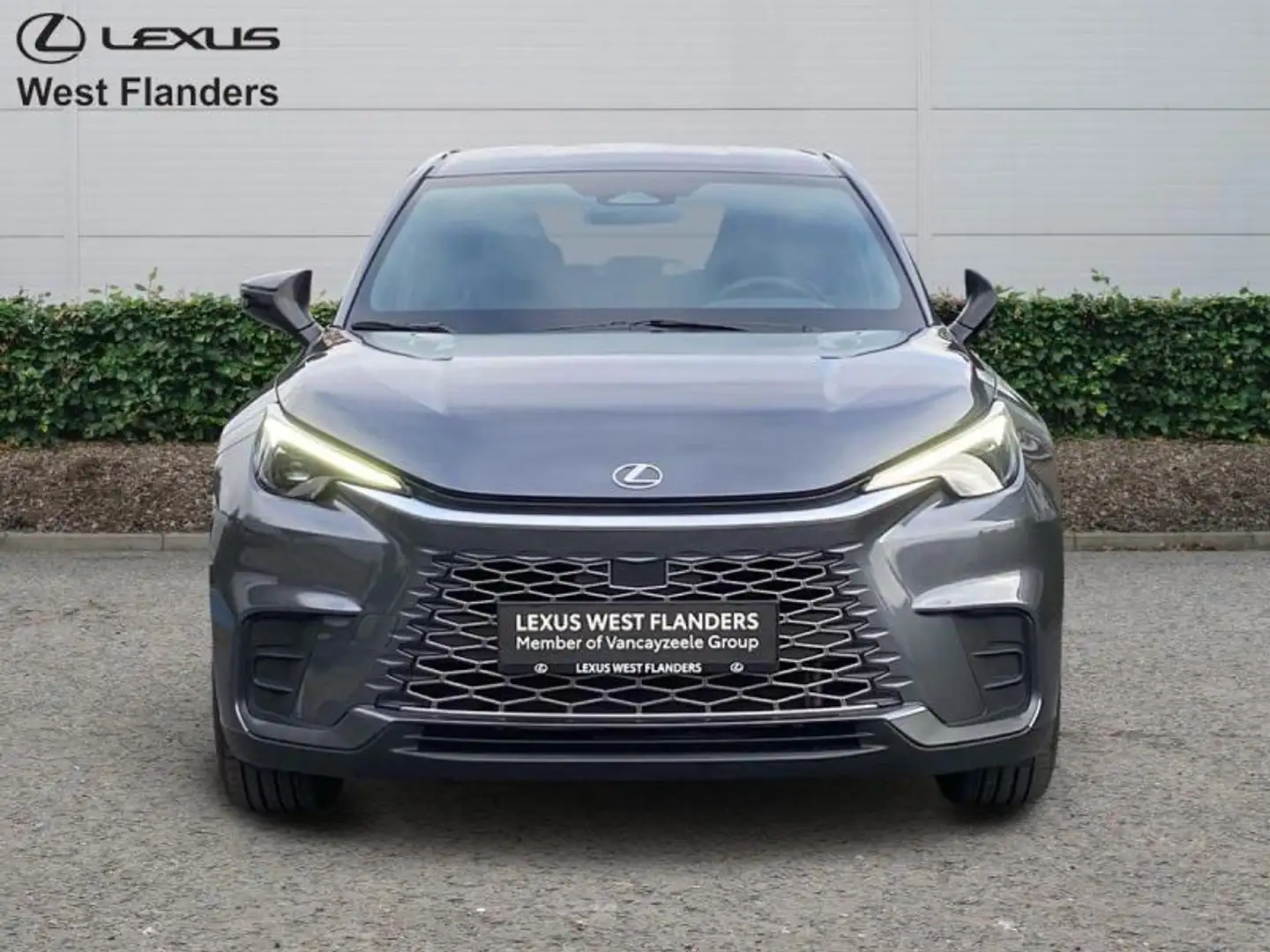 Lexus LBX Base+cam+nav+applecarplay&andr Grijs - 2