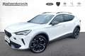 CUPRA Formentor 1.4 e-Hybrid PHEV - AUTOMATIK Weiß - thumbnail 21