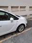 Opel Meriva 1.7 cdti Cosmo 110cv - thumbnail 12