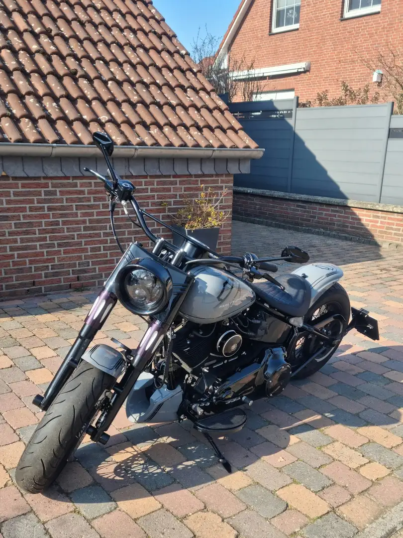 Harley-Davidson Softail Slim Gris - 2