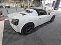 Opel Speedster 2.2 16v 290 Compresseur Weiß - thumbnail 4