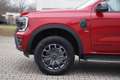 Ford Ranger 3,0 l EcoBlue Doppelkabine Autm. Wildtrak Rot - thumbnail 23