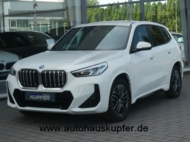 BMW X1 xDrive30 M Sportp. Parkass°beh.M-MFLK°18