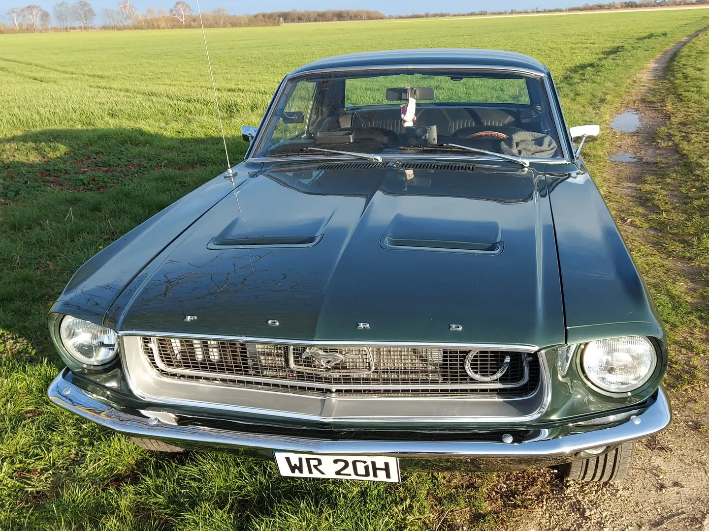 Oldtimer Ford Mustang Coupe C-Code Groen - 1