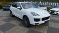 Porsche Cayenne Diesel Pano 21Zoll PDLS Weiß - thumbnail 7