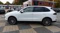 Porsche Cayenne Diesel Pano 21Zoll PDLS Weiß - thumbnail 2
