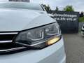 Volkswagen Touran Comfortline 2,0 TDI DSG| NP € 51.300 Weiß - thumbnail 37