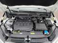 Volkswagen Touran Comfortline 2,0 TDI DSG| NP € 51.300 Weiß - thumbnail 36