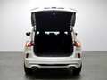 Ford Kuga 1.5 EcoBlue ST-Line FWD 120 Blanco - thumbnail 8