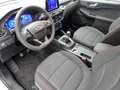 Ford Kuga 1.5 EcoBlue ST-Line FWD 120 Blanco - thumbnail 15