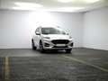 Ford Kuga 1.5 EcoBlue ST-Line FWD 120 Blanco - thumbnail 2