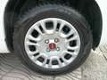 Fiat Panda Panda  1.2 BENZINA Blanc - thumbnail 6