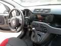 Fiat Panda Panda  1.2 BENZINA Blanc - thumbnail 12