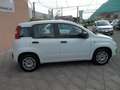 Fiat Panda Panda  1.2 BENZINA Blanc - thumbnail 5