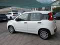 Fiat Panda Panda  1.2 BENZINA Blanc - thumbnail 3