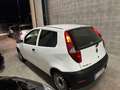 Fiat Punto 3p 1.3 mjt 16v Active - thumbnail 2